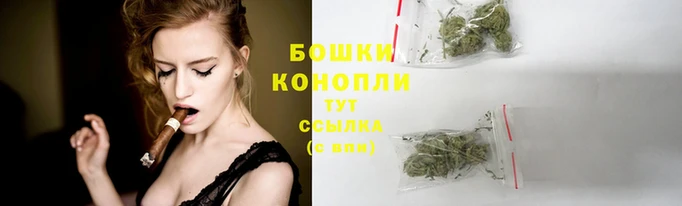 дмт Вязьма